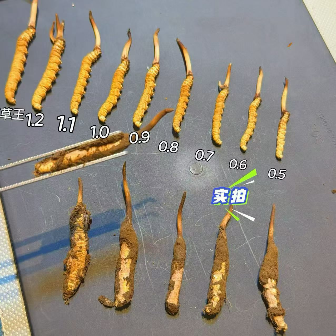 Mô tả hình ảnh